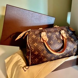 Louis Vuitton Monogram Speedy 25